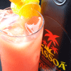 �O�@�o�g���s�J��